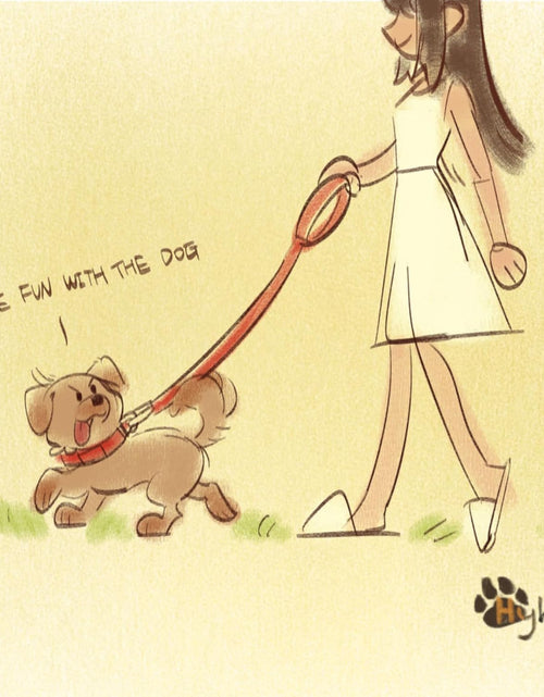 Load image into Gallery viewer, Pets 24 Inches Heavy Duty Short Leash with Comfortable Handle and Lightweight Aviation Aluminium Clip Lead- for Large Medium Dogs Daily Walking and Training. (Sleet Gray)
