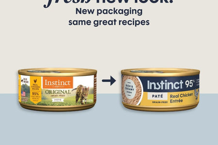 Grain Free Wet Cat Food Pate, Original Recipe Natural Canned Cat Food