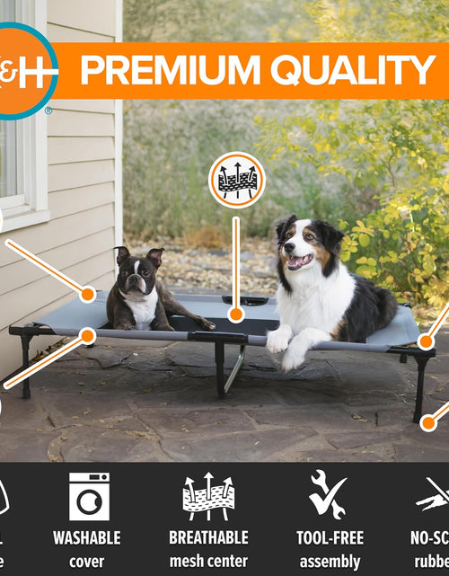 Load image into Gallery viewer, Original Pet Cot, Elevated Dog Bed Cot with Mesh Center, Multiple Sizes
