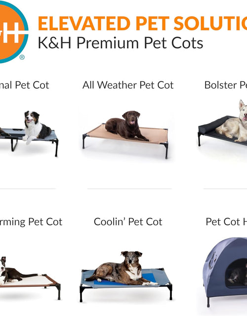 Load image into Gallery viewer, Original Pet Cot, Elevated Dog Bed Cot with Mesh Center, Multiple Sizes
