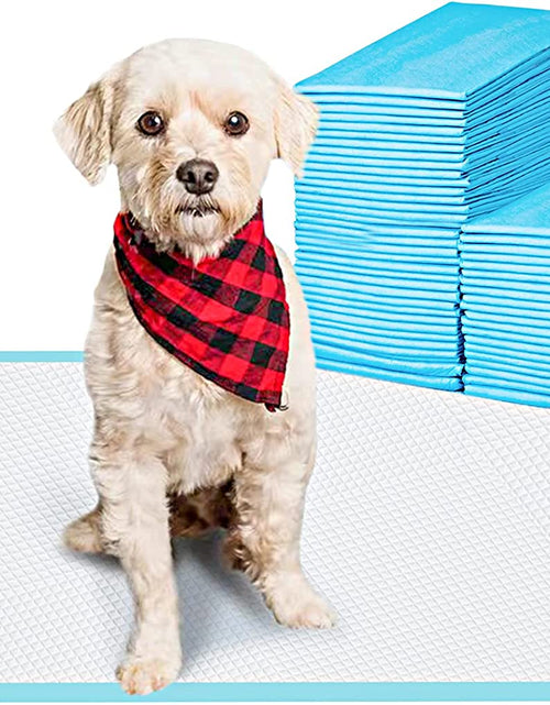 Load image into Gallery viewer, Pet Training and Puppy Pads Pee Pads for Dogs 22"X22"-50 Count Super Absorbent &amp; Leak-Proof
