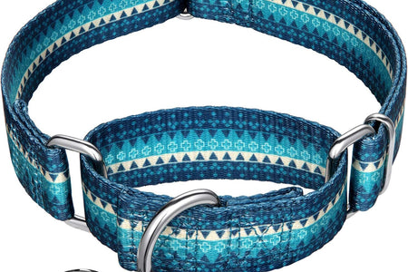 Martingale Dog Collar No Pull Pet Collar Heavy Duty Dog Martingale Collars Silky with Unique Geometric Pattern for Medium and Large Dogs (Large, Turquoise)
