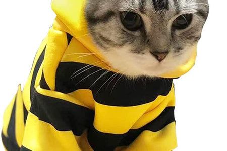 Pet Bee Halloween Costume Dog Hoodies Cat Holiday Cosplay Warm Clothes Puppy Cute Hooded Coat Christmas Outfits for Cat and Small Dogs (Yellow, X-Large)