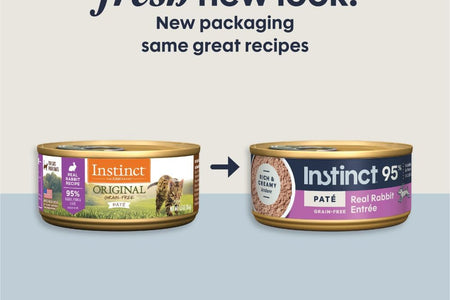 Grain Free Wet Cat Food Pate, Original Recipe Natural Canned Cat Food
