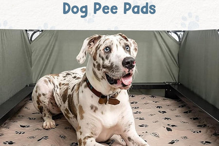 Pee Pads for Dogs - Dog & Puppy Training & Whelping Pads - Rounded Corners - Washable, Reusable - Waterproof, Sanitary Potty Protector Dog Mat - Pet Essentials - 2 Pack