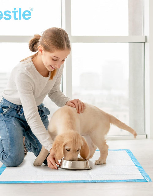 Load image into Gallery viewer, Pet Training and Puppy Pads Pee Pads for Dogs 22"X22"-50 Count Super Absorbent &amp; Leak-Proof
