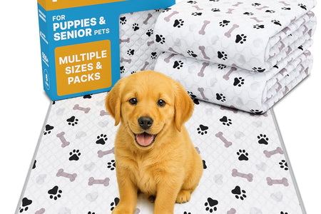 Washable Pee Pads for Dogs - Waterproof Reusable Puppy Pads with Anti-Slip Backing, Pet Training Pad for Puppy Playpen, Crate, Whelping Box, Potty Training (Pack of 6 - 30X34)