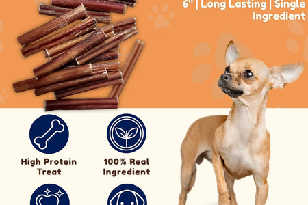 Bully Sticks 6 & 7 Inch Regular Size - Premium Bully Stick Dog Chews - Long Lasting Bully Sticks for Dogs - Best Bully Stick Dog Bone - No Hide Dog Chews